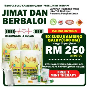 JIMAT DAN BERBALOI